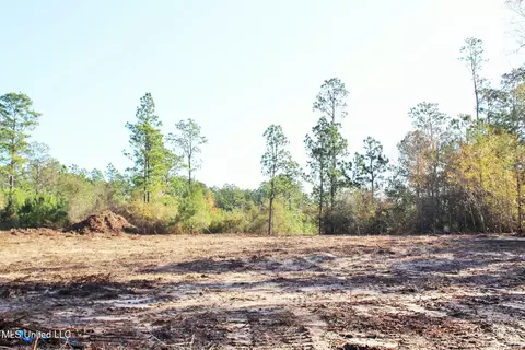 2 48ac Jones Rd, Lucedale, MS 39452 photo 4