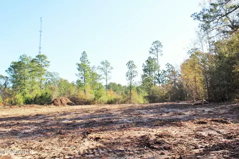 2 48ac Jones Rd, Lucedale, MS 39452 photo 12