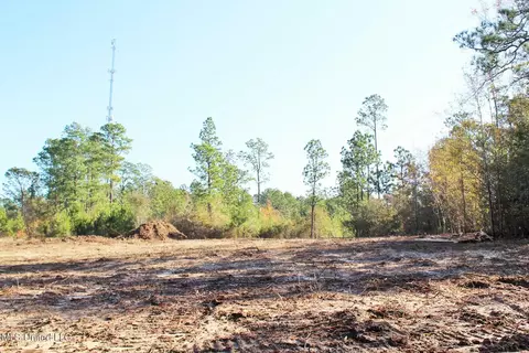 2 48ac Jones Rd, Lucedale, MS 39452 photo 11