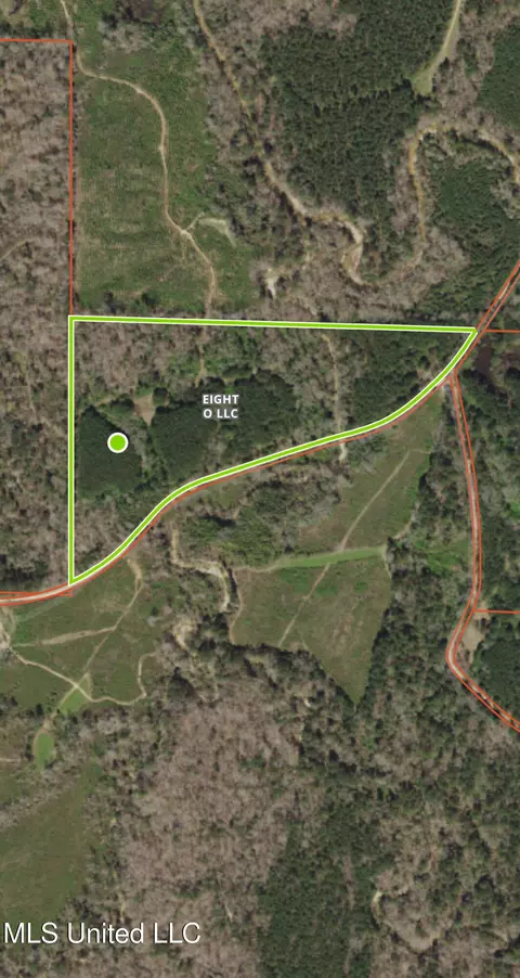 No Parsons Road, Mccall Creek, MS 39647