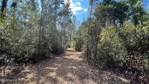 Old Hwy 49, Saucier, MS 39574 photo 8