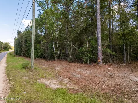 Old Hwy 49, Saucier, MS 39574 photo 11