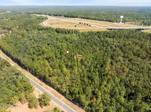 Old Hwy 49, Saucier, MS 39574 photo 19