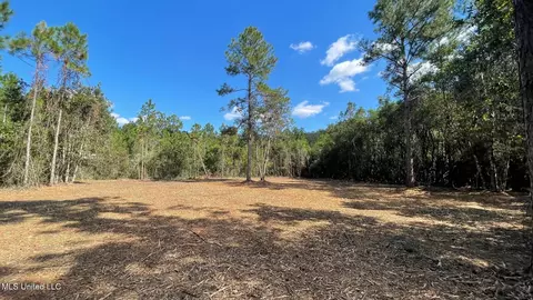 Old Hwy 49, Saucier, MS 39574