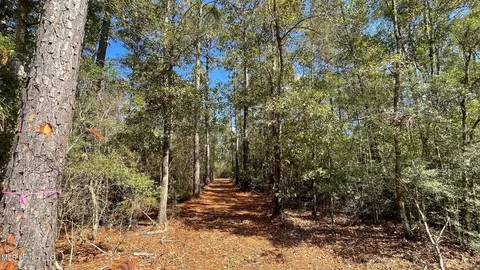 Old Hwy 49, Saucier, MS 39574 photo 3