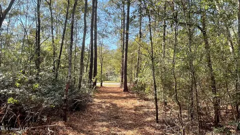 Old Hwy 49, Saucier, MS 39574 photo 7