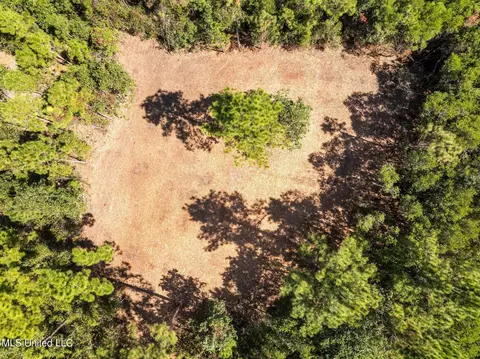 Old Hwy 49, Saucier, MS 39574 photo 14