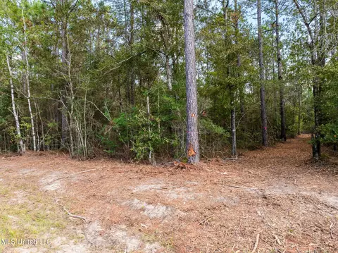 Old Hwy 49, Saucier, MS 39574 photo 10