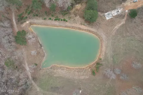 0 Coosa Rd, Carthage, MS 39051 photo 3