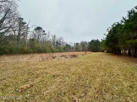 399 James Boyakin Barnett Rd, Magee, MS 39111 photo 26