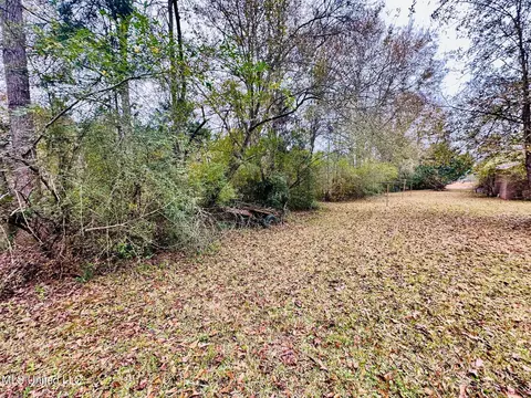 399 James Boyakin Barnett Rd, Magee, MS 39111 photo 20