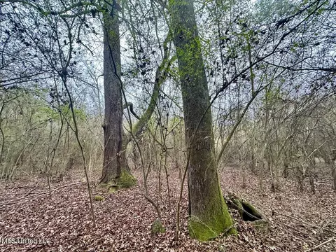 399 James Boyakin Barnett Rd, Magee, MS 39111 photo 38