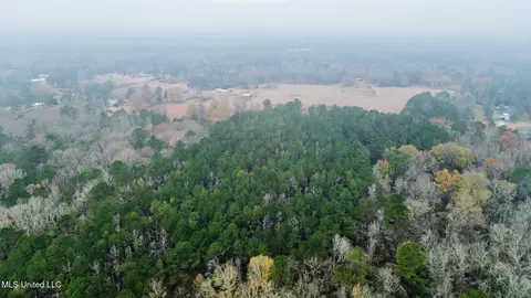 399 James Boyakin Barnett Rd, Magee, MS 39111 photo 8