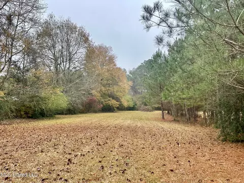 399 James Boyakin Barnett Rd, Magee, MS 39111 photo 45