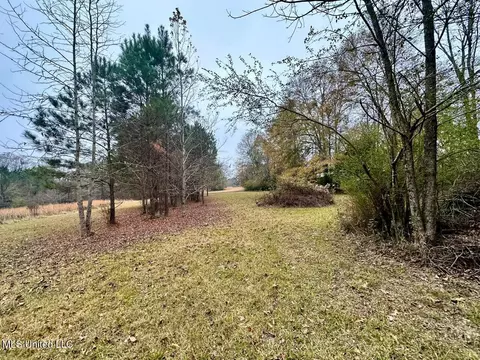 399 James Boyakin Barnett Rd, Magee, MS 39111 photo 23