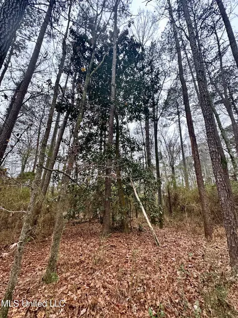 399 James Boyakin Barnett Rd, Magee, MS 39111 photo 34