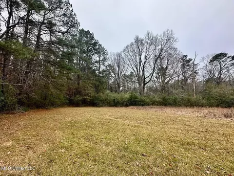 399 James Boyakin Barnett Rd, Magee, MS 39111 photo 25