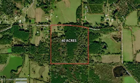 399 James Boyakin Barnett Rd, Magee, MS 39111 photo 2