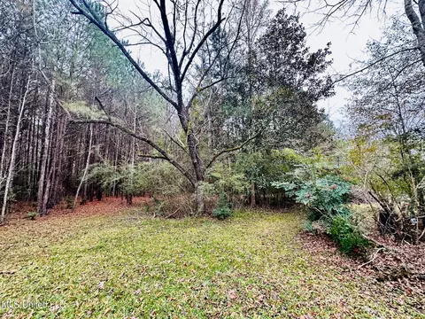 399 James Boyakin Barnett Rd, Magee, MS 39111 photo 19