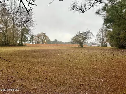 399 James Boyakin Barnett Rd, Magee, MS 39111 photo 44