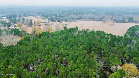 399 James Boyakin Barnett Rd, Magee, MS 39111 photo 7