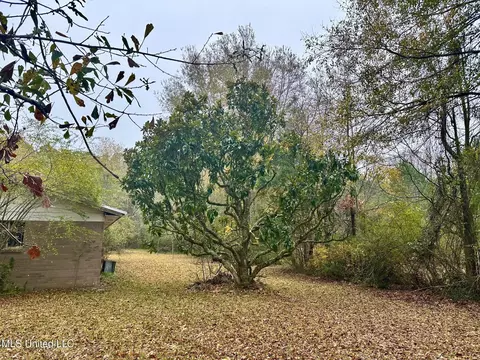 399 James Boyakin Barnett Rd, Magee, MS 39111 photo 47