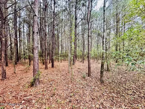 399 James Boyakin Barnett Rd, Magee, MS 39111 photo 21