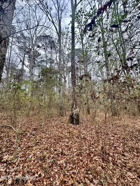 399 James Boyakin Barnett Rd, Magee, MS 39111 photo 32