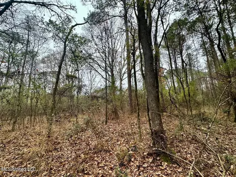 399 James Boyakin Barnett Rd, Magee, MS 39111 photo 29