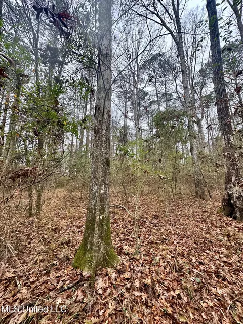 399 James Boyakin Barnett Rd, Magee, MS 39111 photo 33