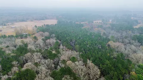 399 James Boyakin Barnett Rd, Magee, MS 39111 photo 10
