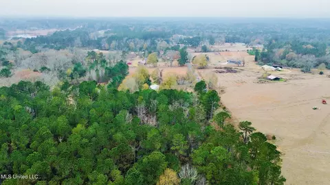 399 James Boyakin Barnett Rd, Magee, MS 39111 photo 6