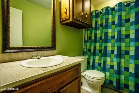 Bath - 141 N Eagle Ridge Dr, Florence, MS 39073 photo 2 of 2