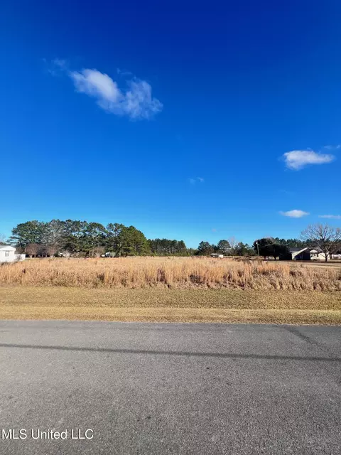 Holland Road, Lucedale, MS 39452 photo 4