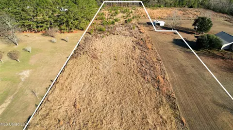 Holland Road, Lucedale, MS 39452 photo 3