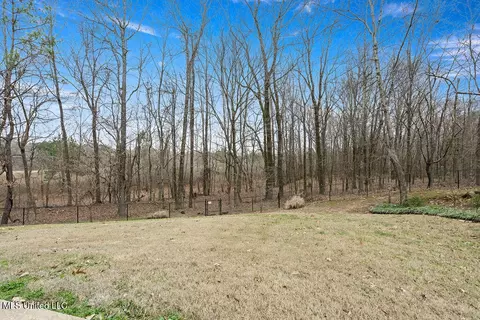 Exterior - 2922 Tulane Rd, Nesbit, MS 38651 photo 5 of 5
