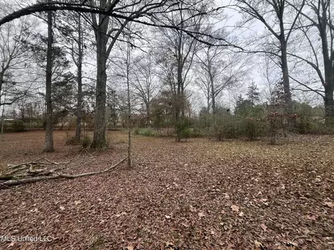 Exterior - 811 N Maple Dr, D'lo, MS 39062 photo 8 of 40