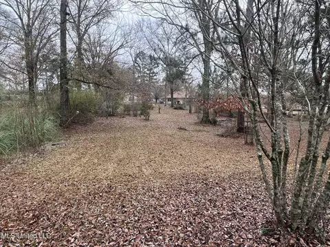 Exterior - 811 N Maple Dr, D'lo, MS 39062 photo 15 of 40