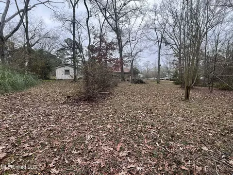 Exterior - 811 N Maple Dr, D'lo, MS 39062 photo 18 of 40