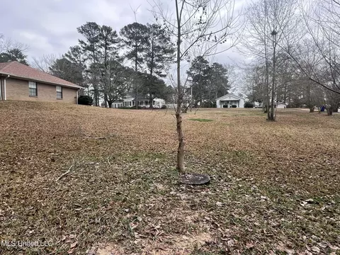 Exterior - 811 N Maple Dr, D'lo, MS 39062 photo 20 of 40
