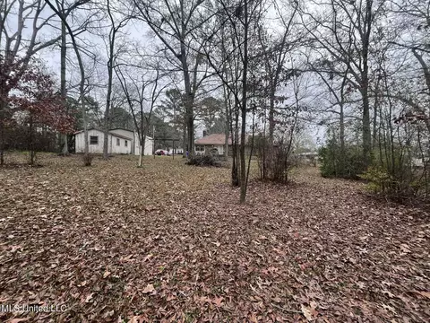 Exterior - 811 N Maple Dr, D'lo, MS 39062 photo 16 of 40