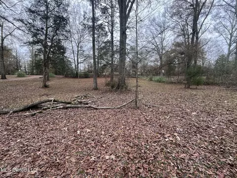 Exterior - 811 N Maple Dr, D'lo, MS 39062 photo 24 of 40