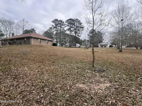 Exterior - 811 N Maple Dr, D'lo, MS 39062 photo 27 of 40