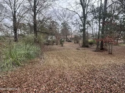 Exterior - 811 N Maple Dr, D'lo, MS 39062 photo 13 of 40