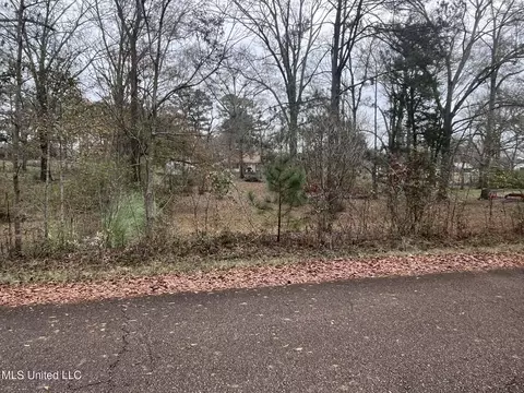 Other - 811 N Maple Dr, D'lo, MS 39062 photo 20 of 25