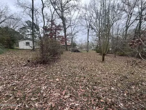 Exterior - 811 N Maple Dr, D'lo, MS 39062 photo 29 of 40