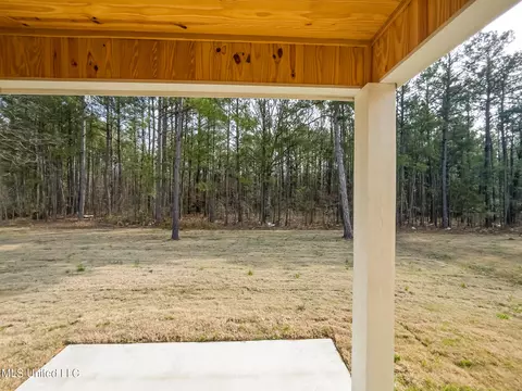 Exterior - 947 Riverside Ln, Pearl, MS 39208 photo 2 of 3
