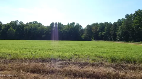 515 County Road 247 Country Rd, Bruce, MS 38915