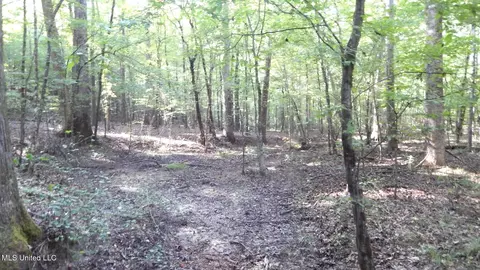 515 County Road 247 Country Rd, Bruce, MS 38915 photo 5