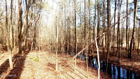515 County Road 247 Country Rd, Bruce, MS 38915 photo 40